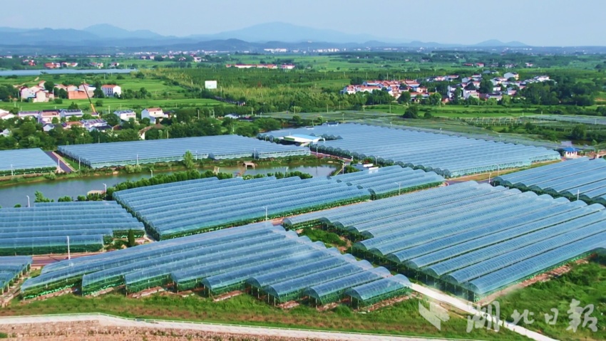 捕鱼游戏电脑版在线玩不用登录