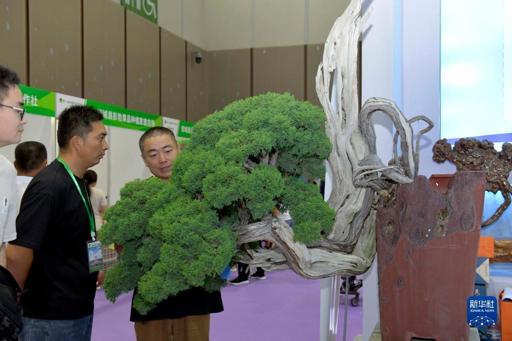 必发现金游戏